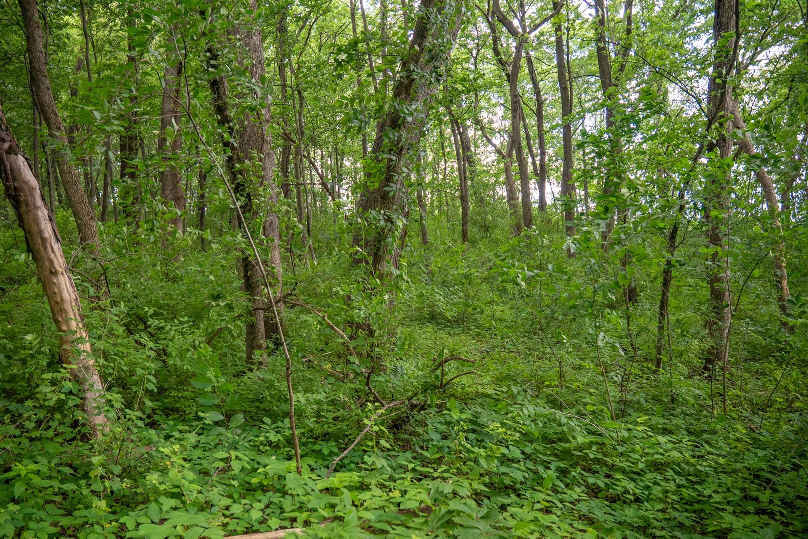 main property photo 12