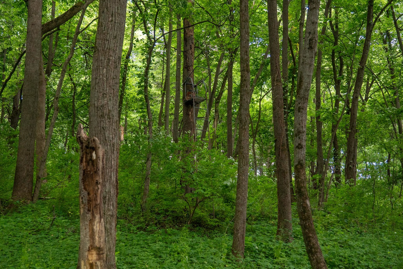 main property photo 13