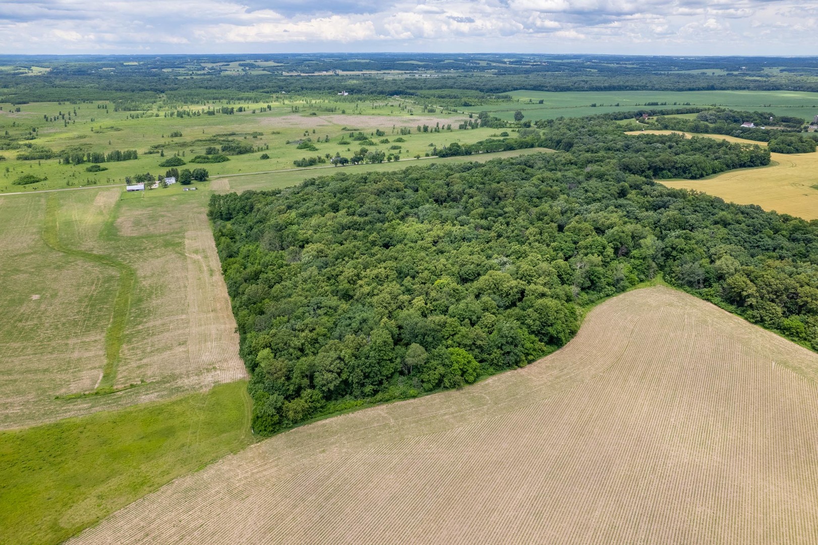 main property photo 56
