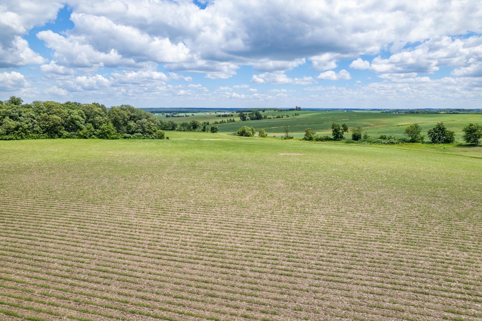 main property photo 61