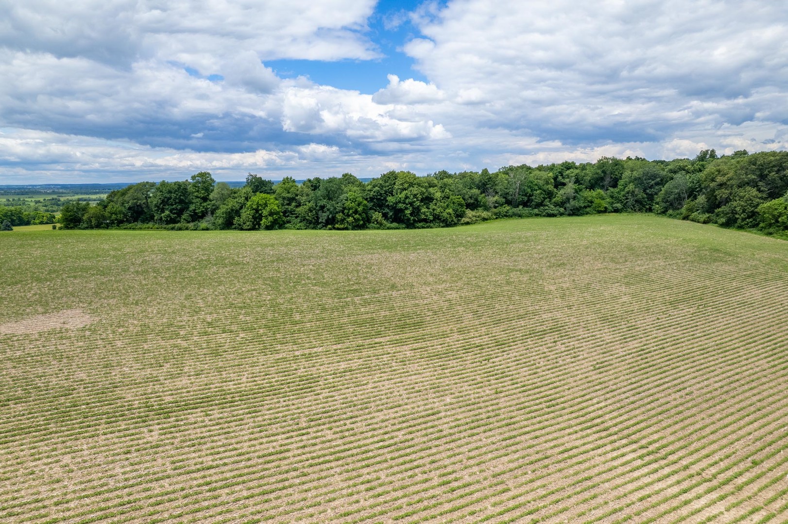 main property photo 63