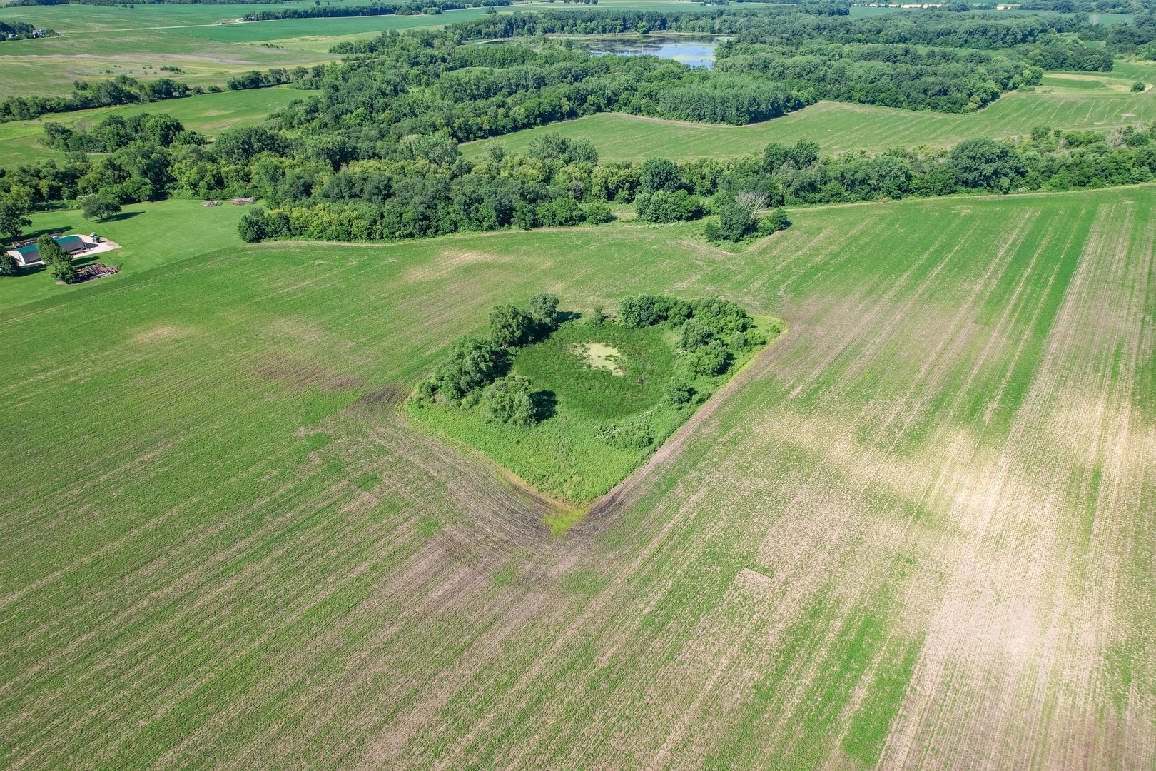 main property photo 15