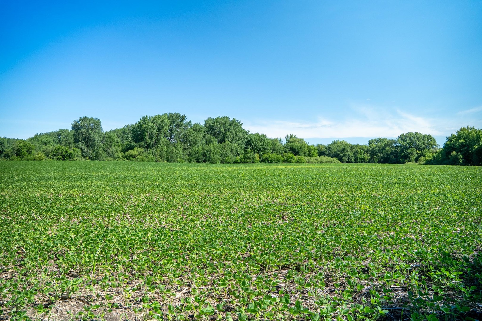 main property photo 56