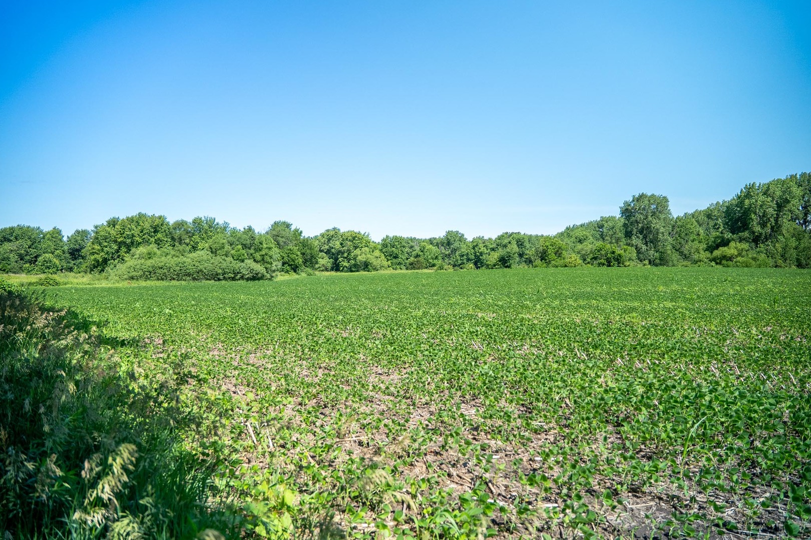 main property photo 57