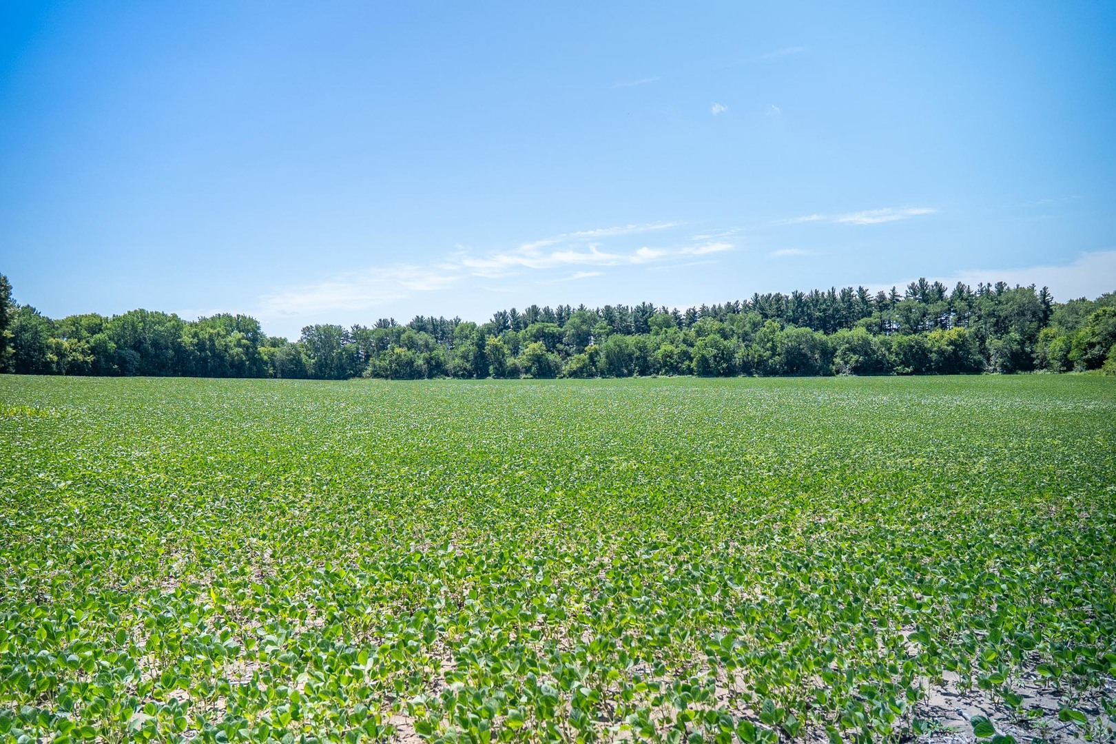 main property photo 67