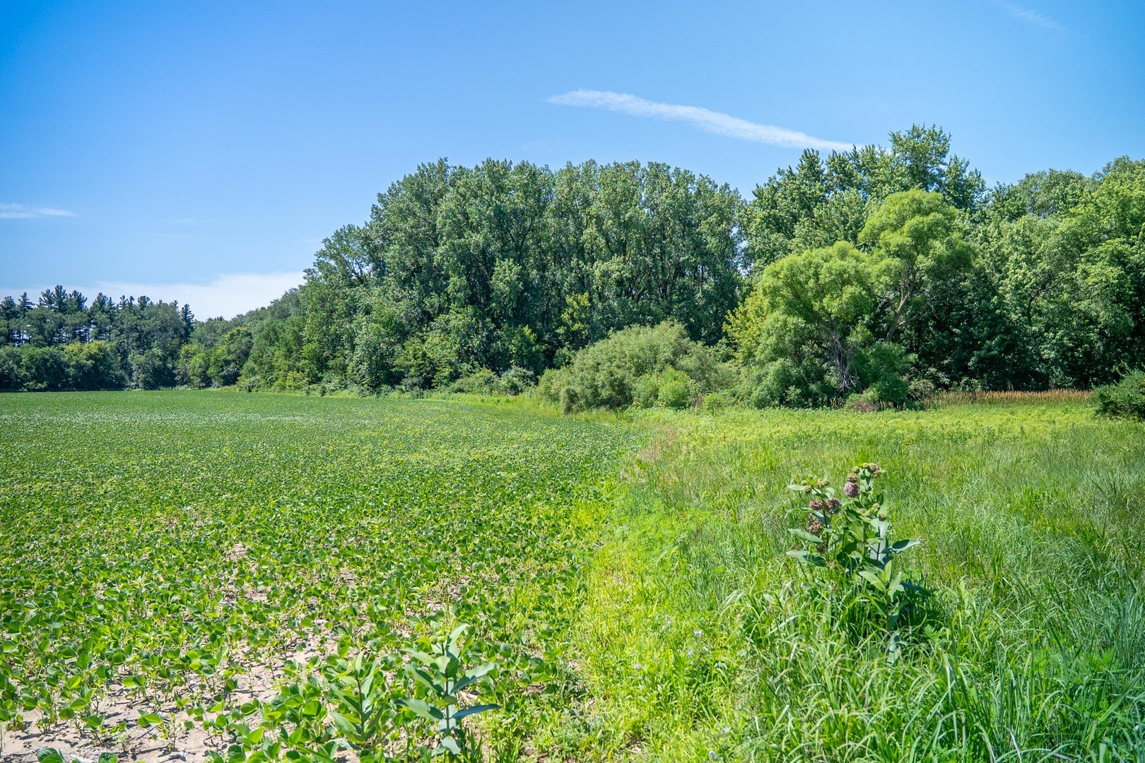 main property photo 68