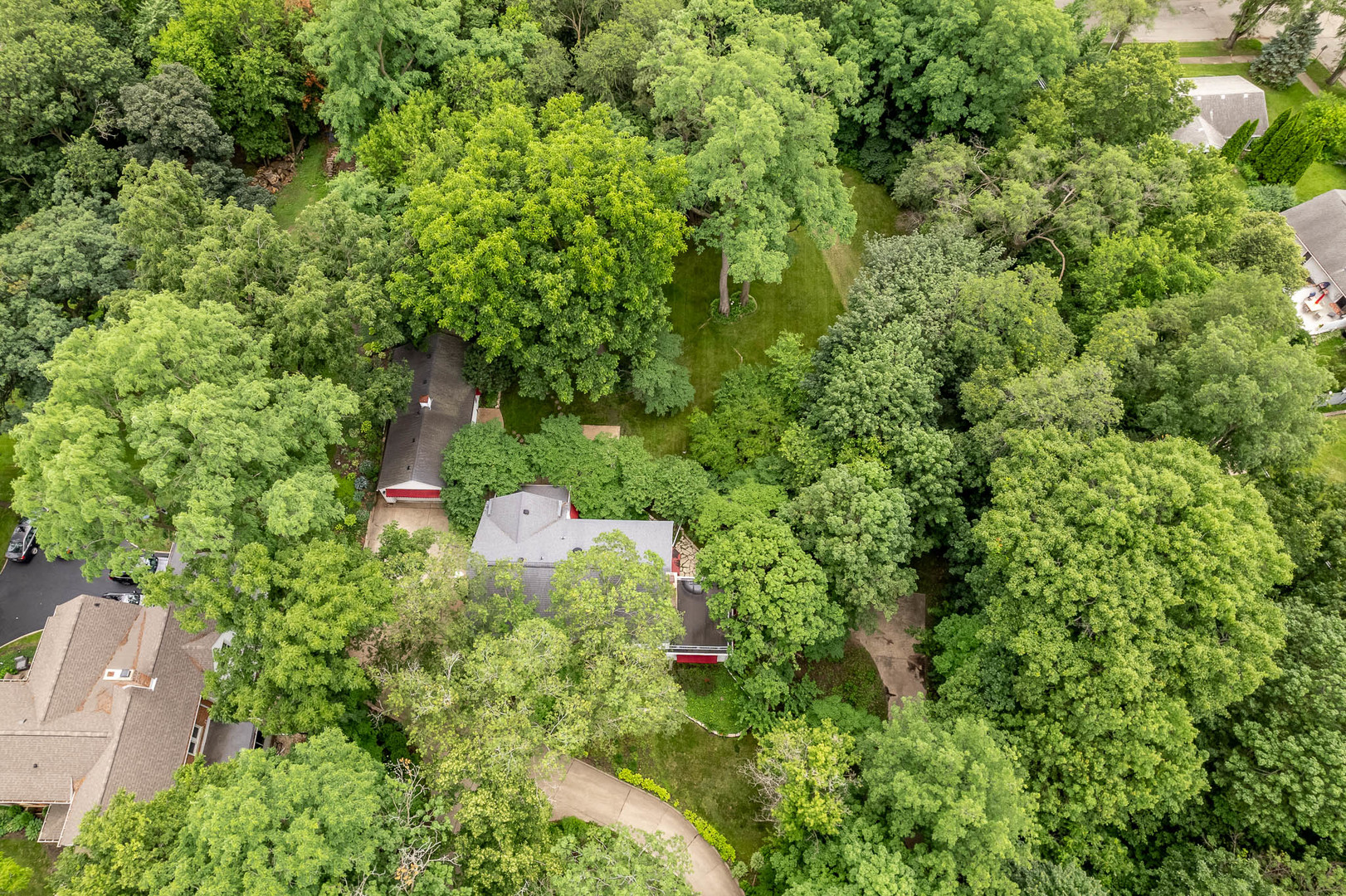 main property photo 54