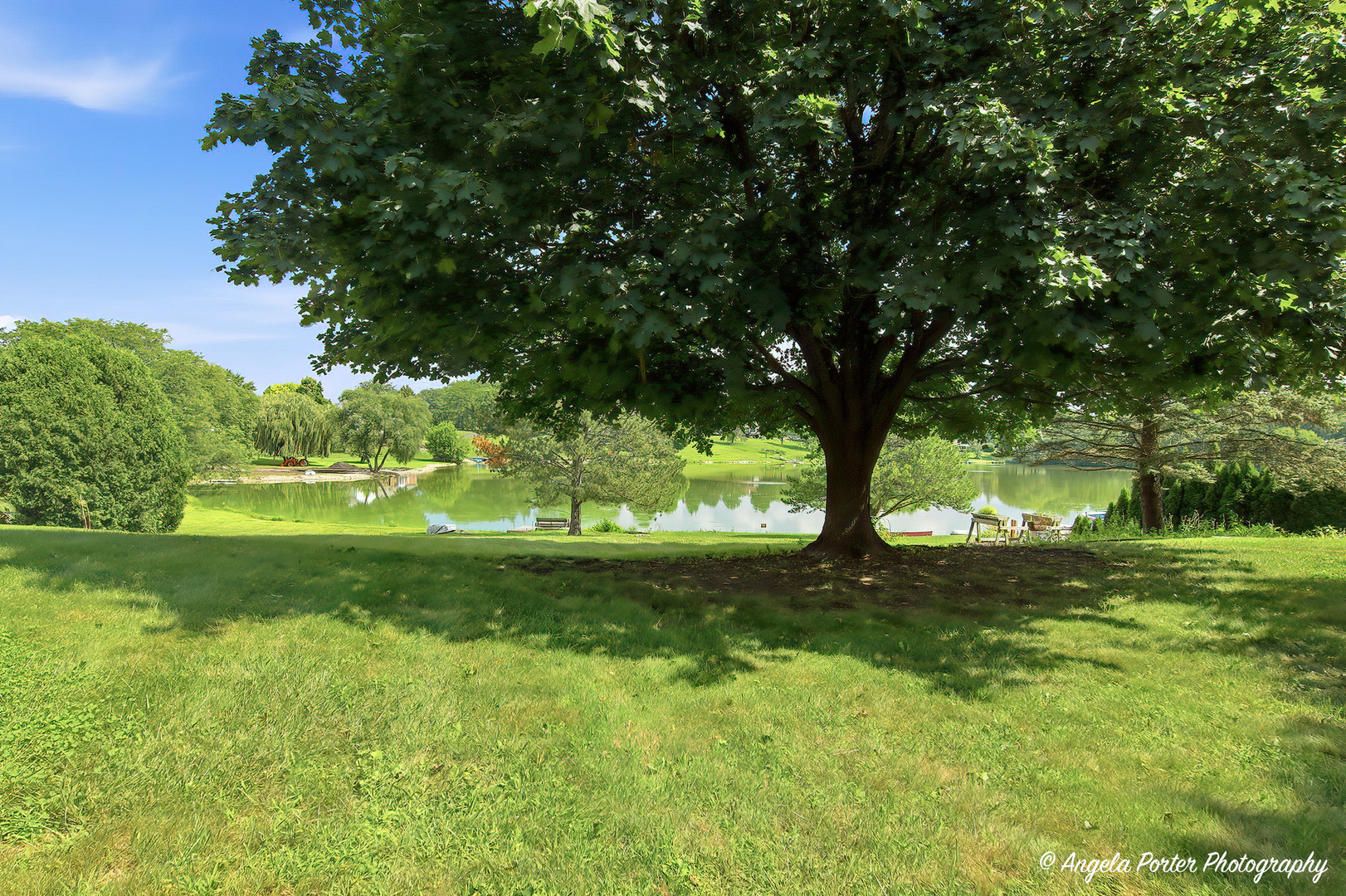 main property photo 43
