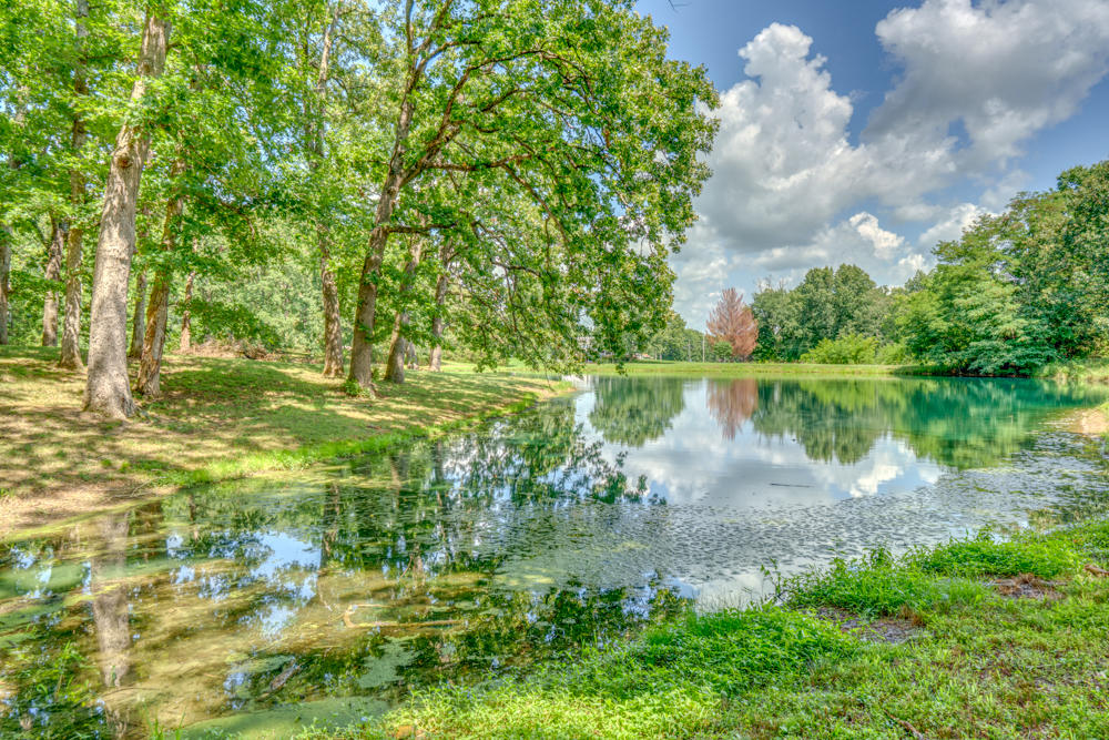 main property photo 42