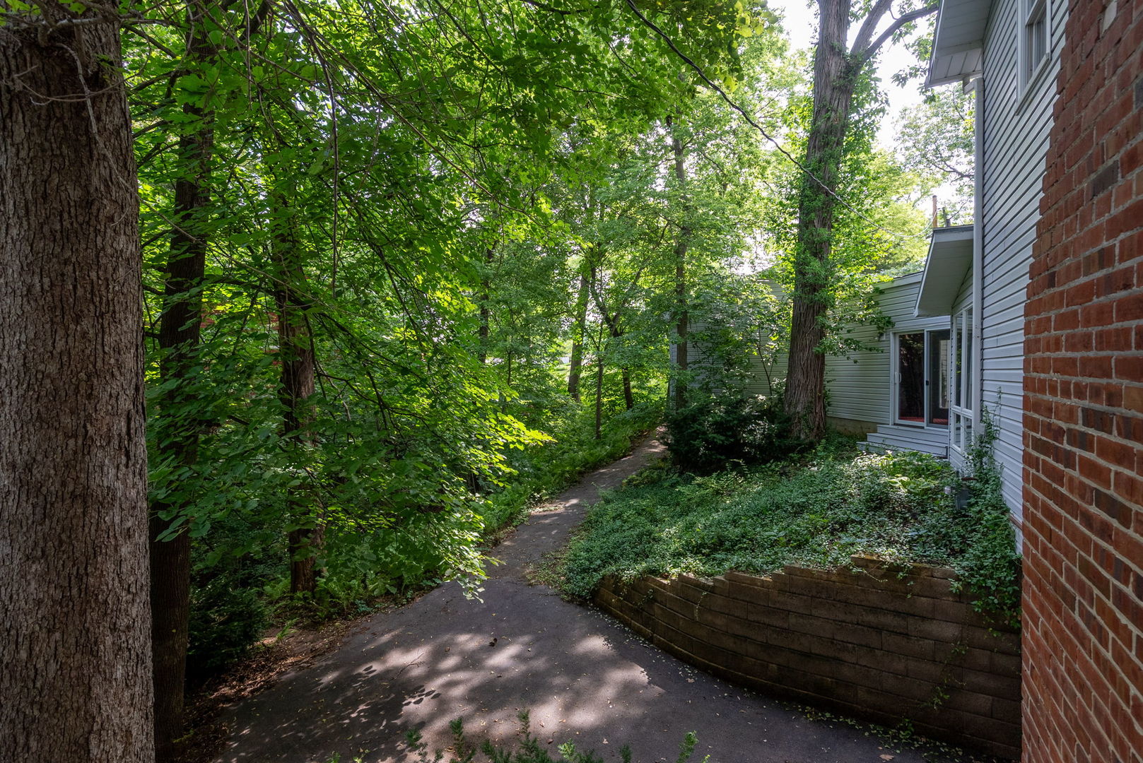main property photo 55