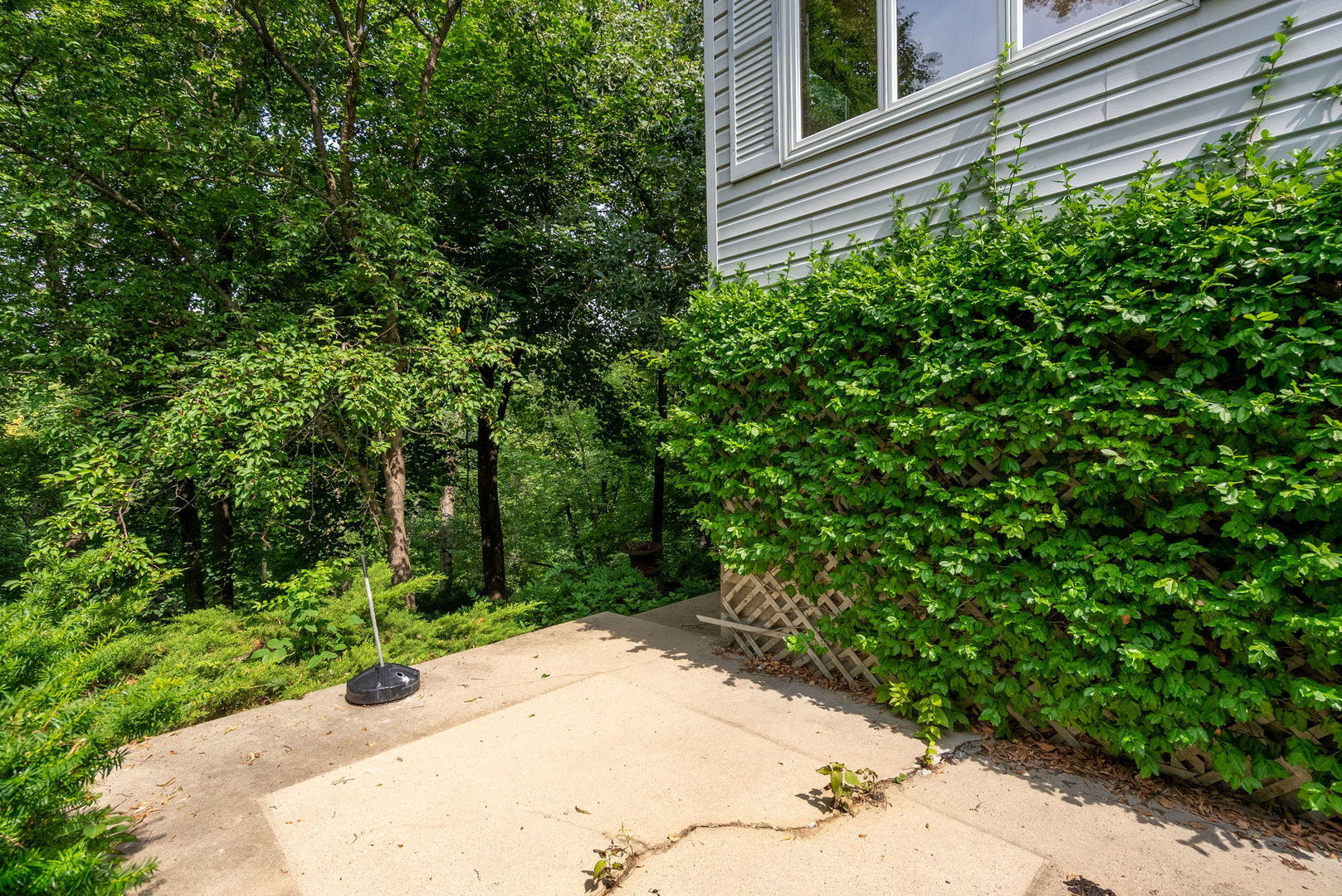main property photo 58