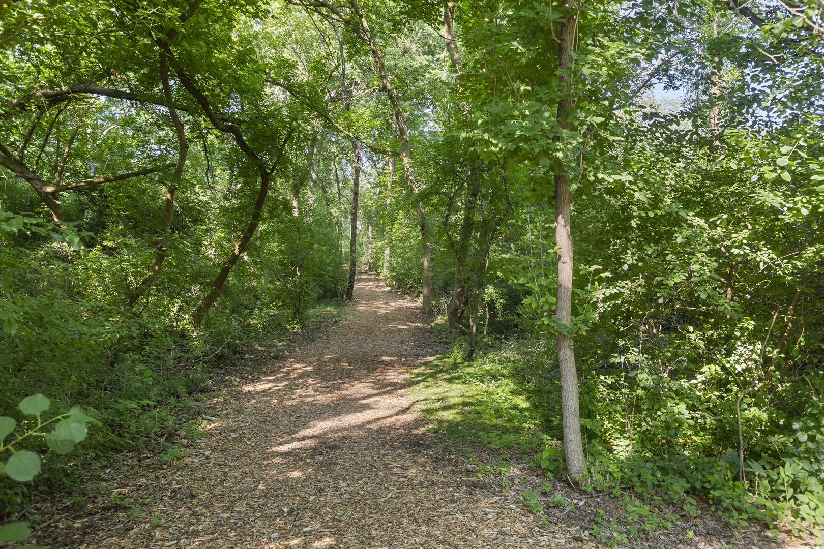 property viewer photo 23