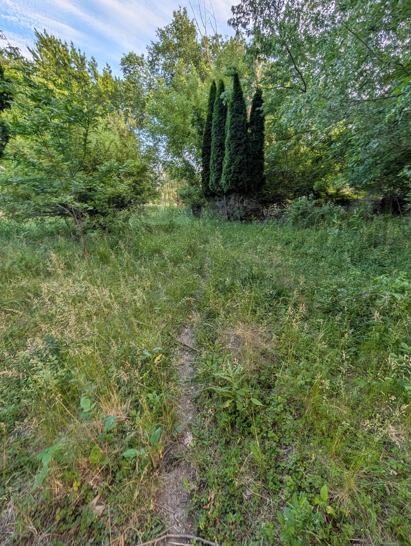 main property photo 7