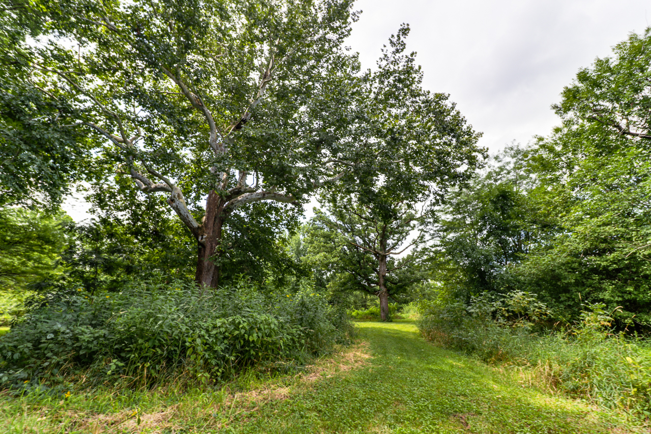 main property photo 128