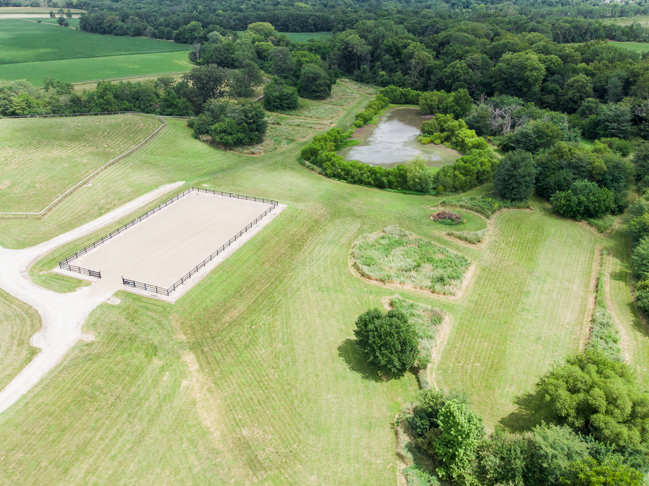 main property photo 137