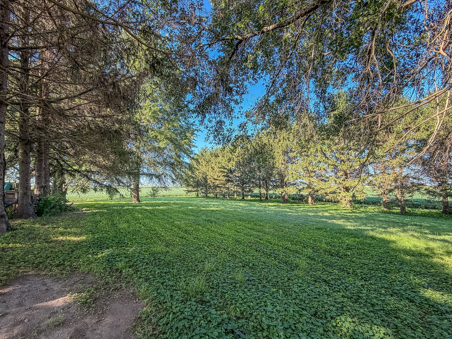 main property photo 69