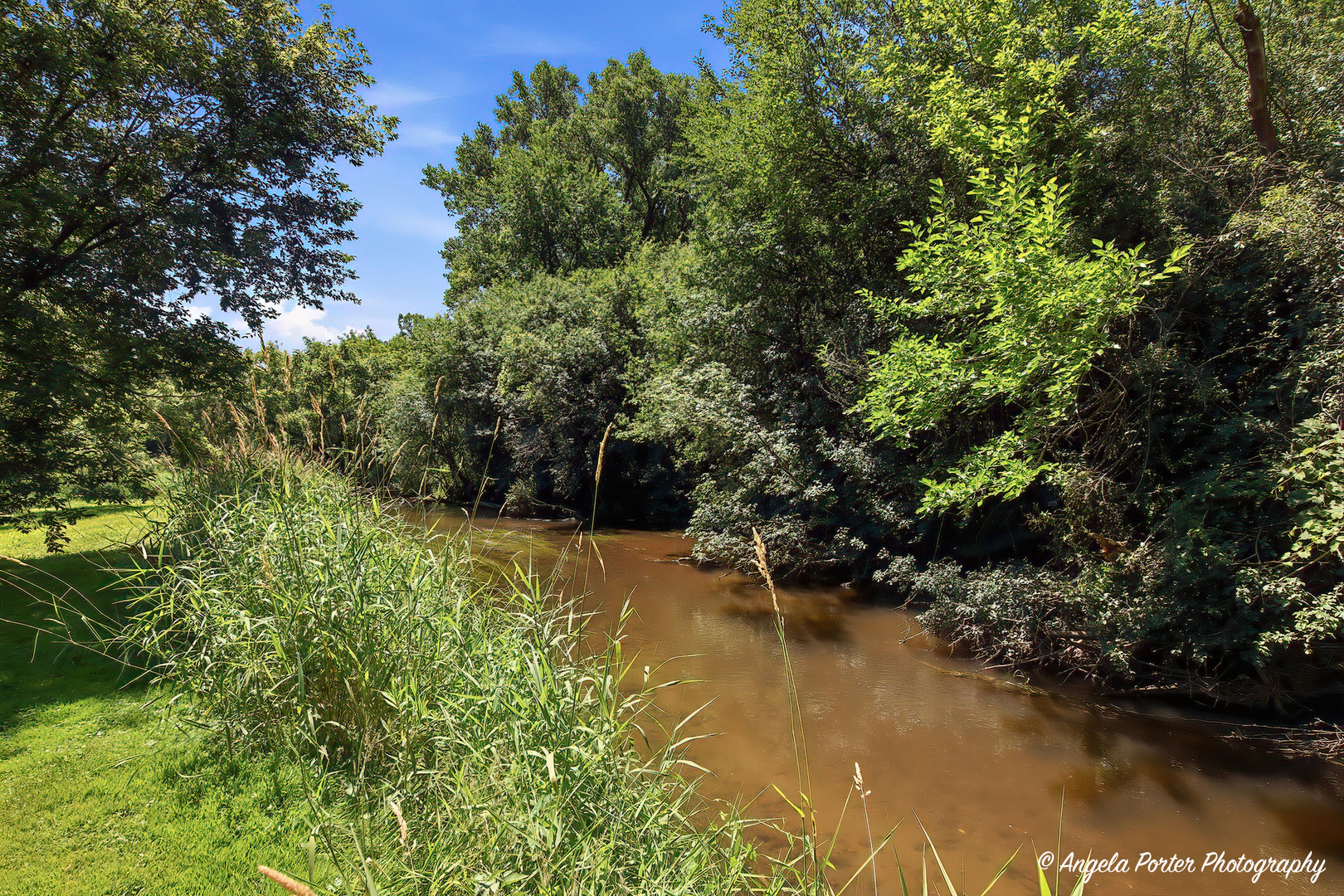main property photo 45