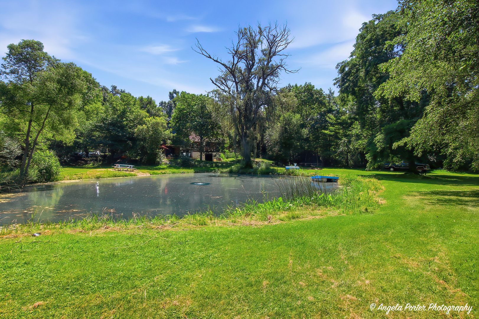 main property photo 46