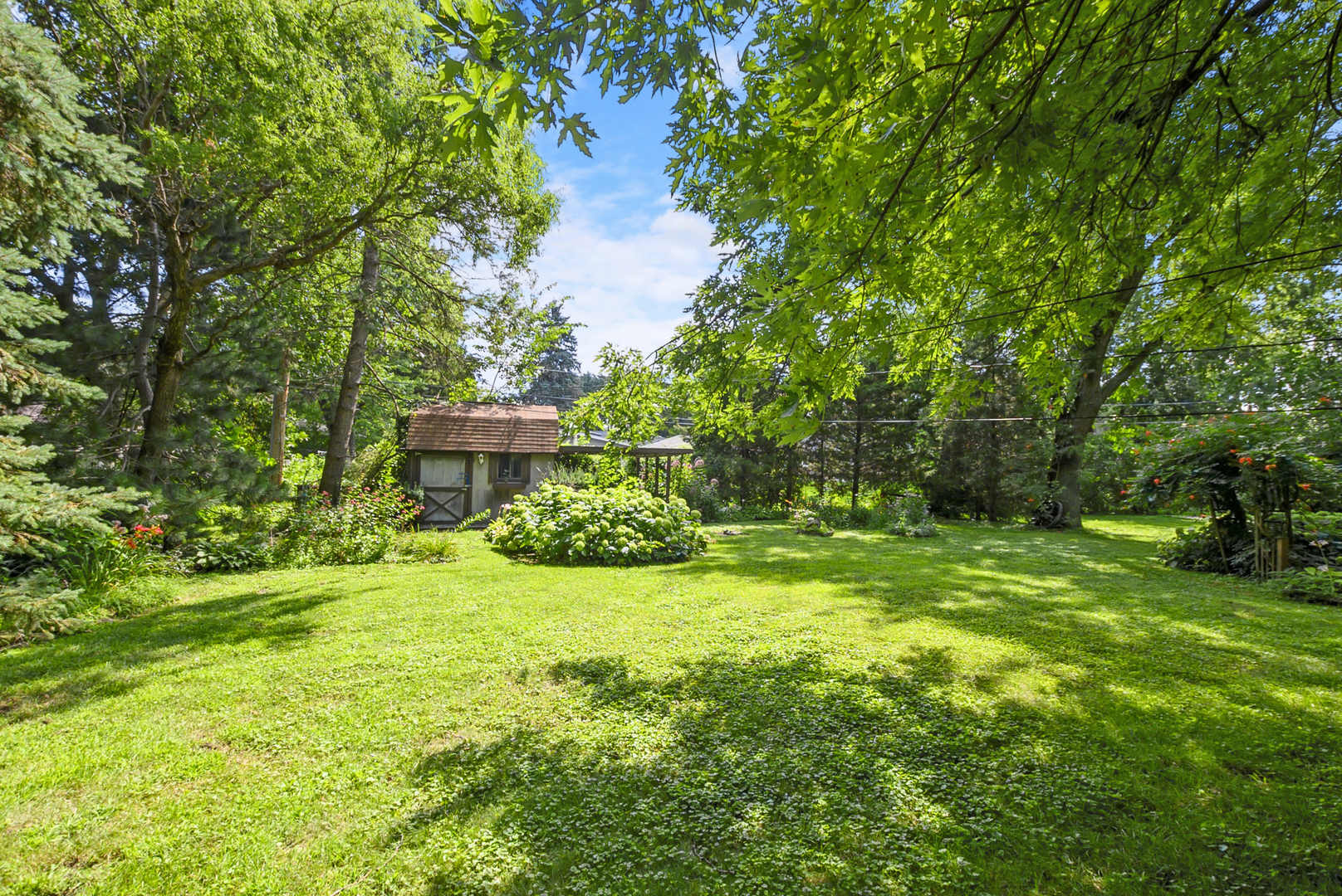 property viewer photo 4