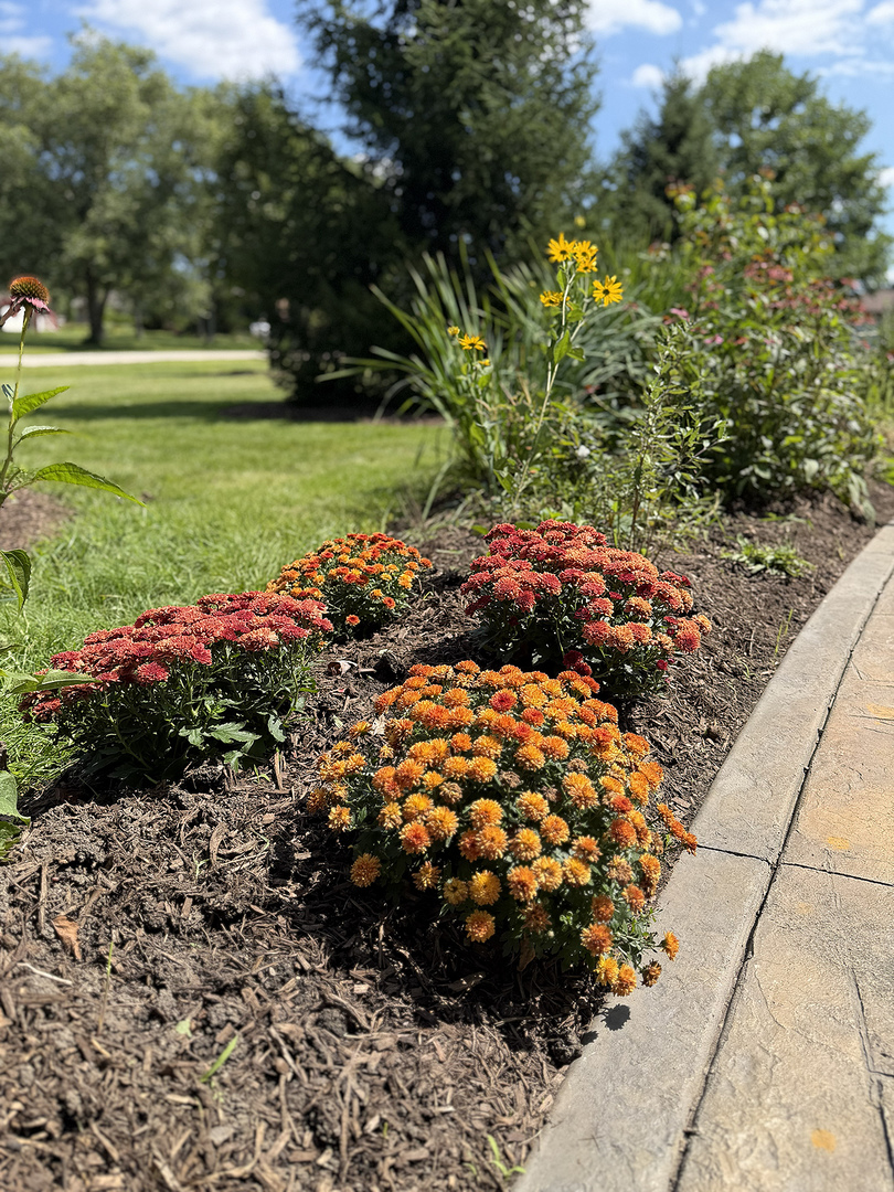 main property photo 64