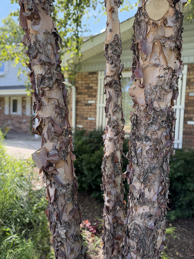 main property photo 65