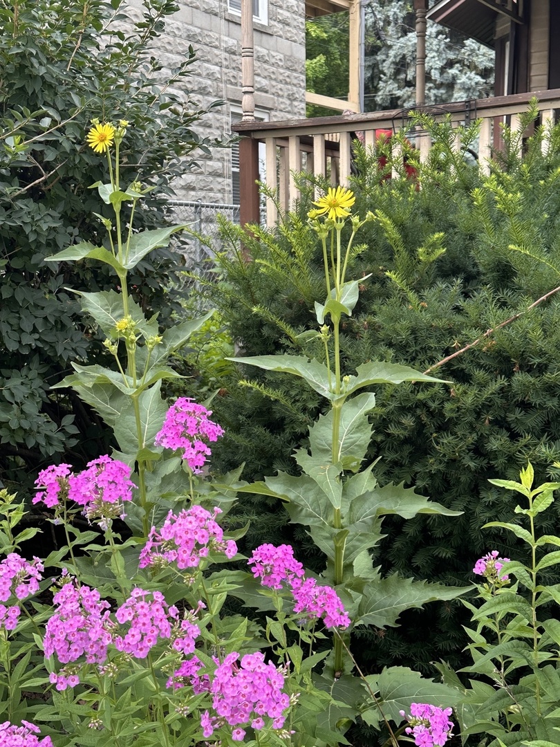 main property photo 26