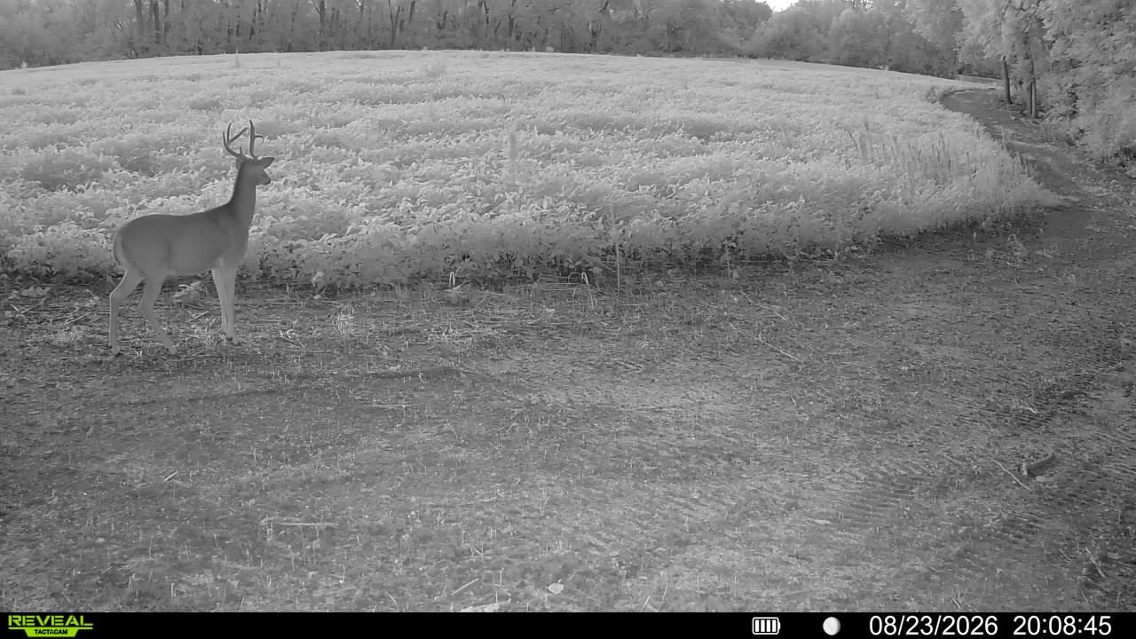 main property photo 112
