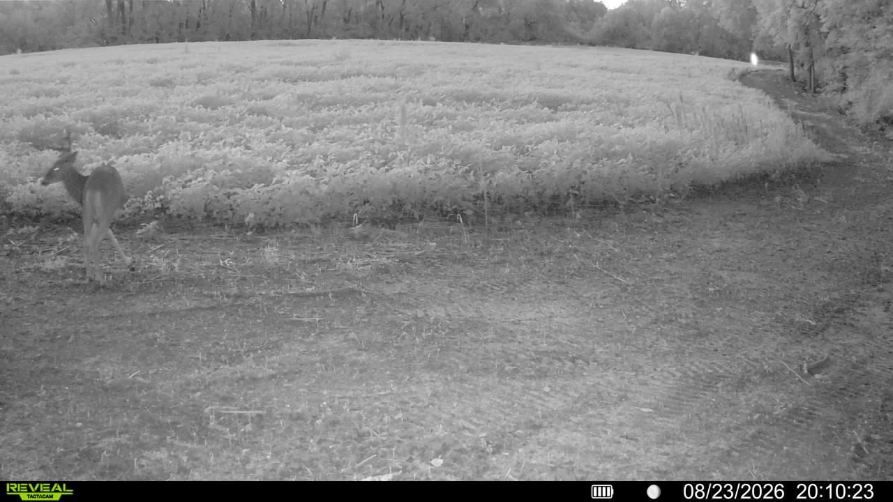 main property photo 113