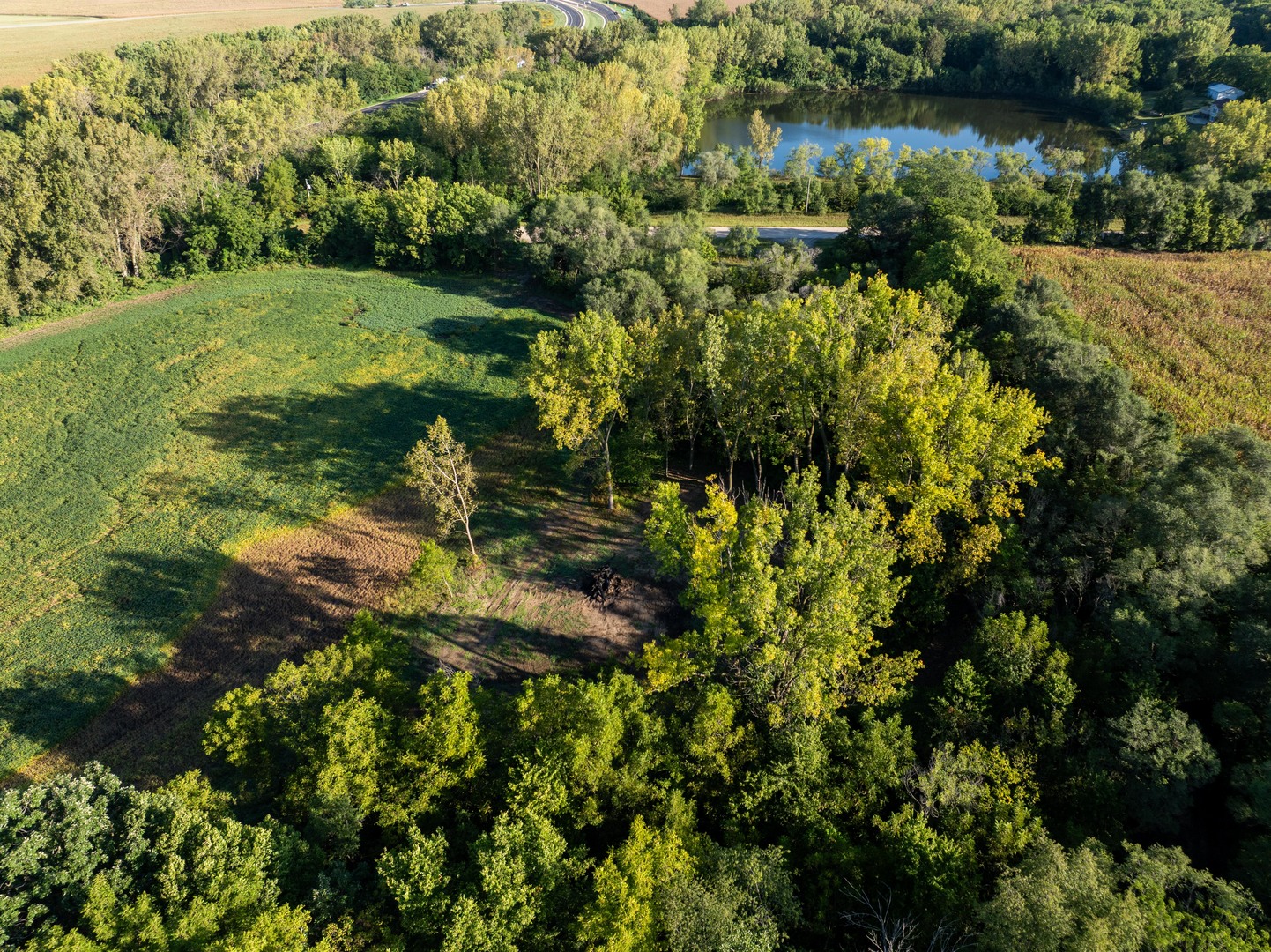 main property photo 44