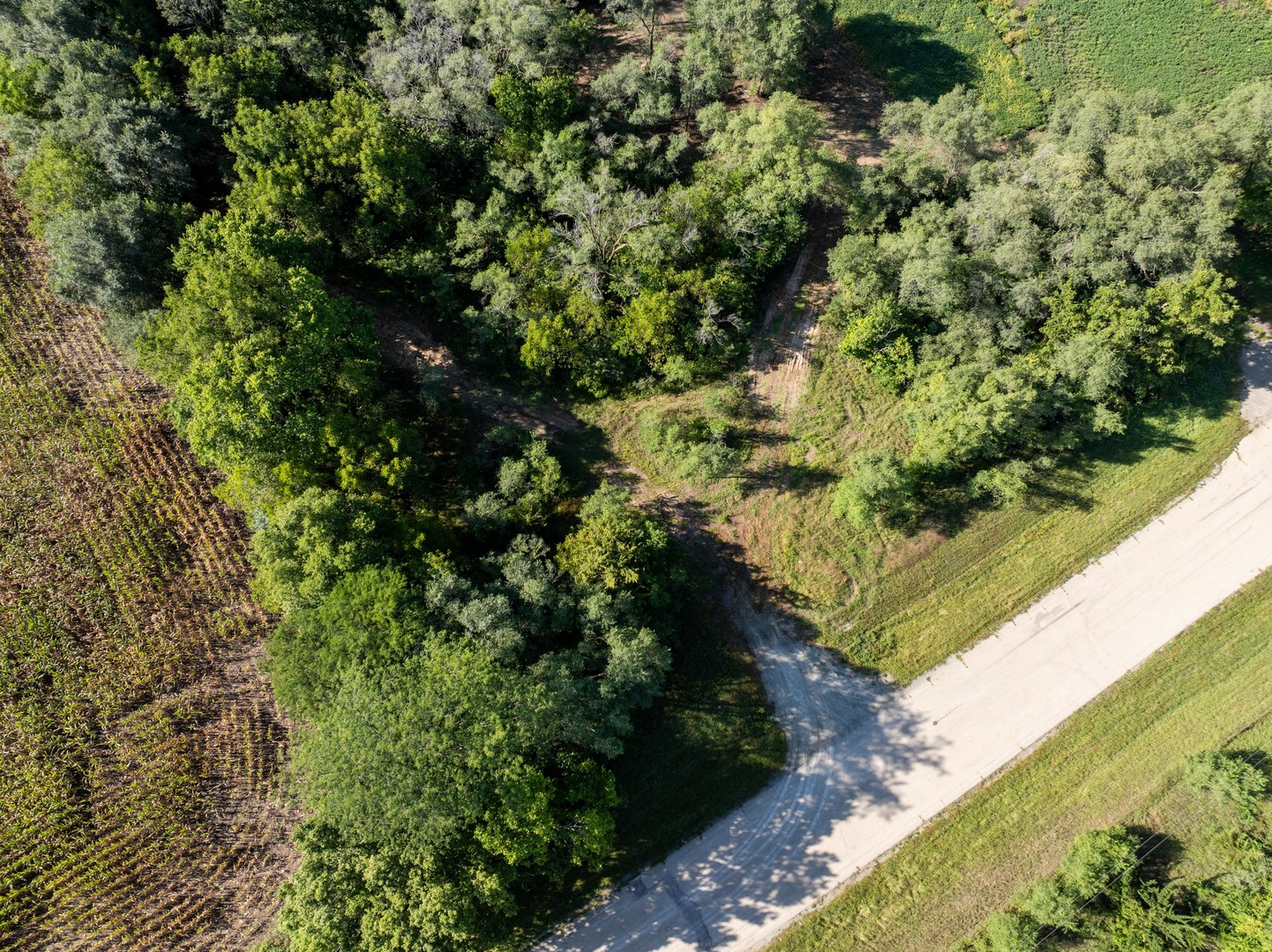 main property photo 48