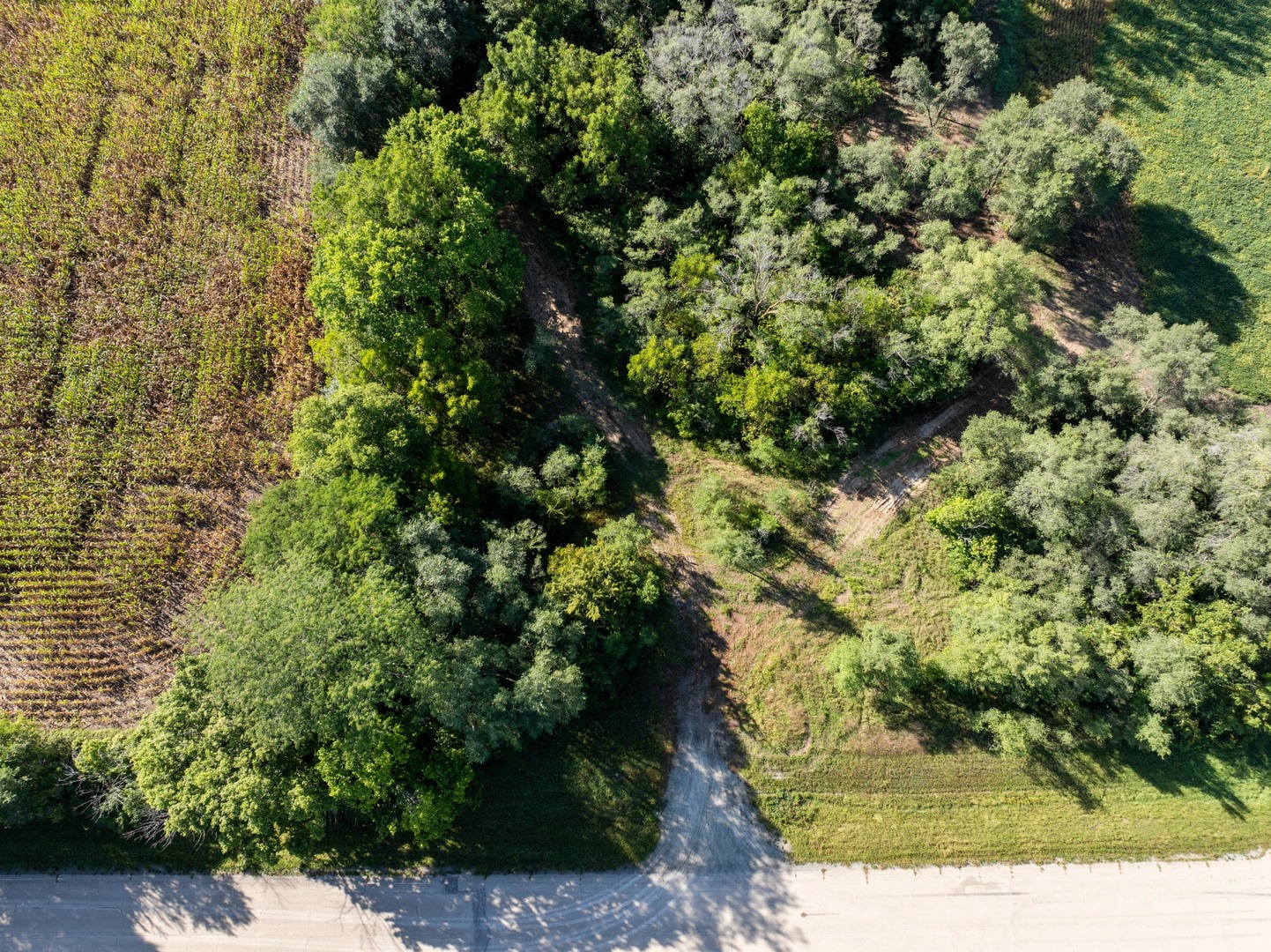 main property photo 49