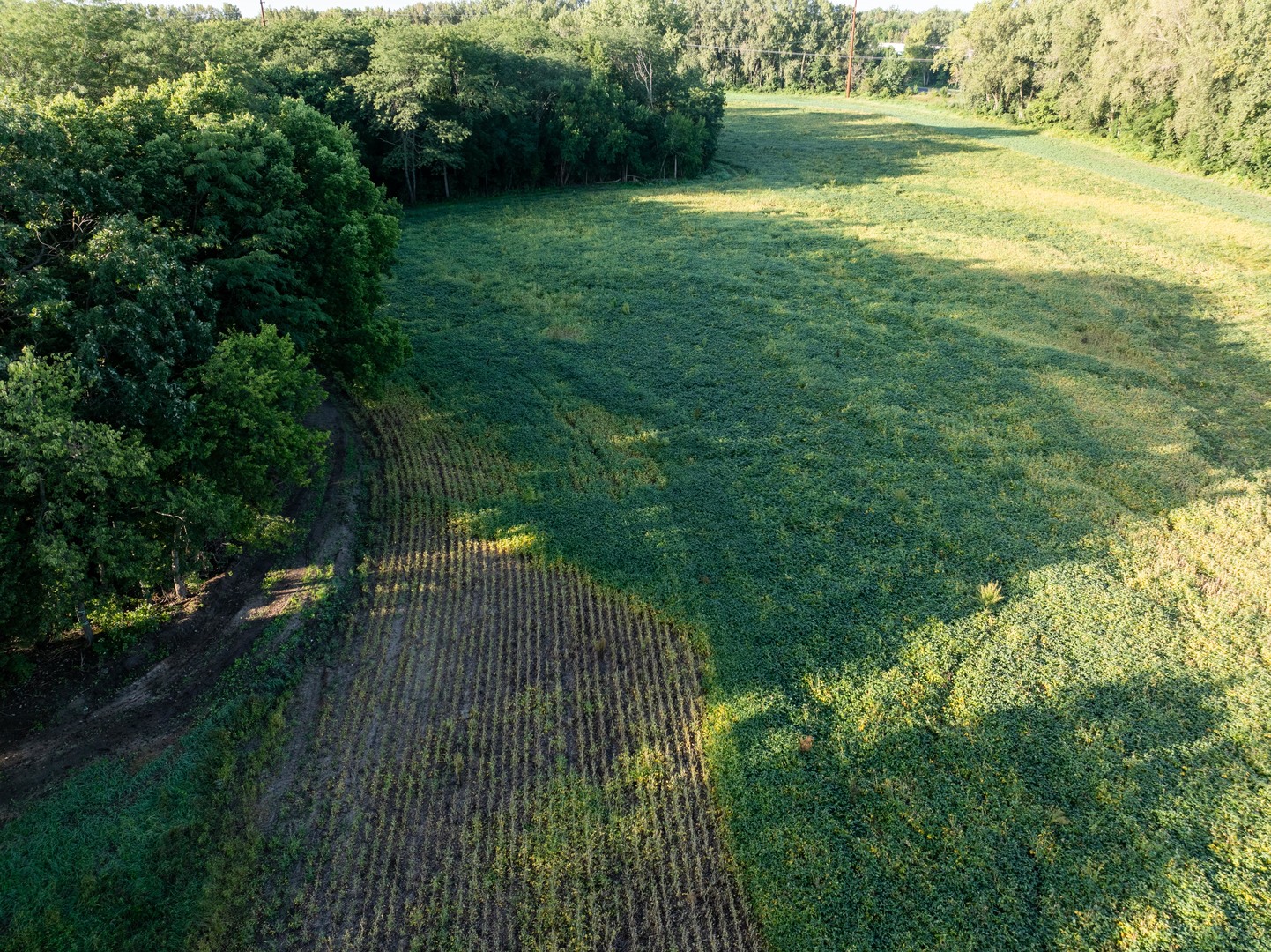 main property photo 53