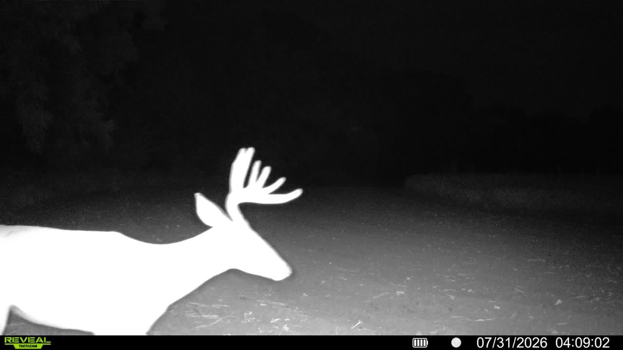 main property photo 54