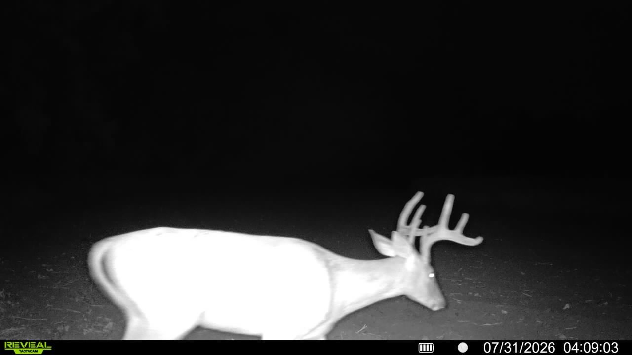 main property photo 55
