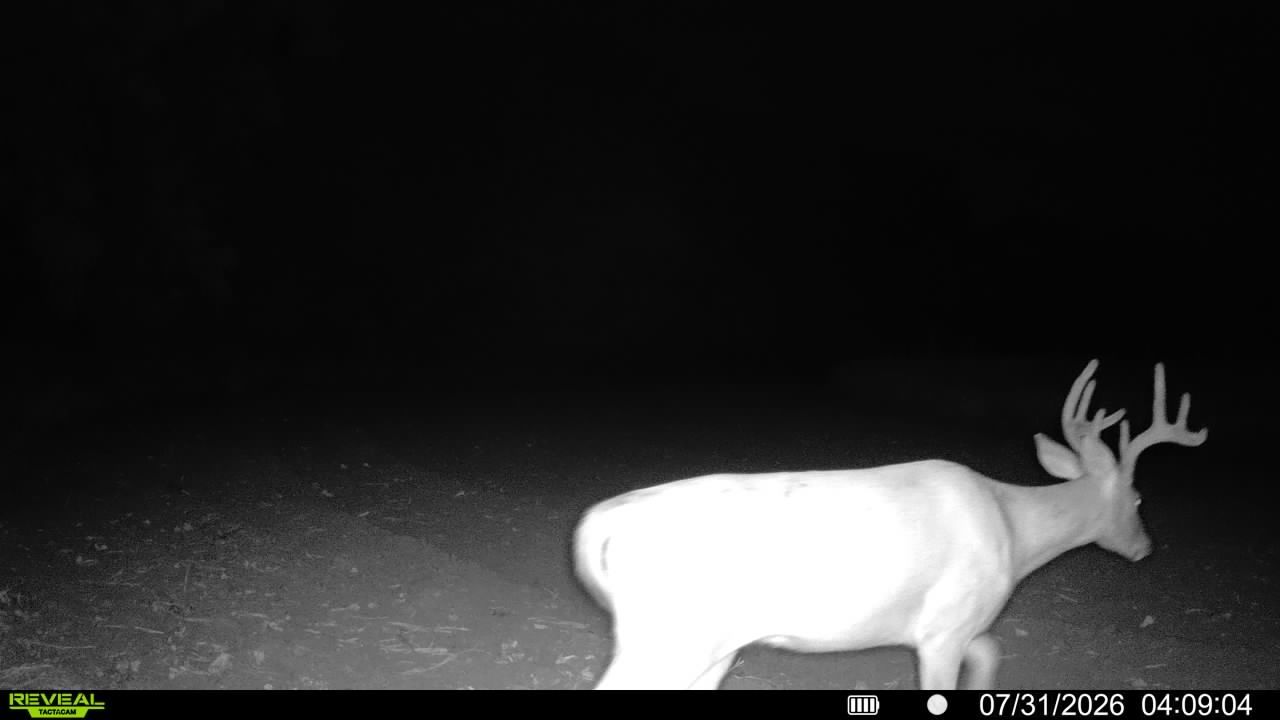 main property photo 56