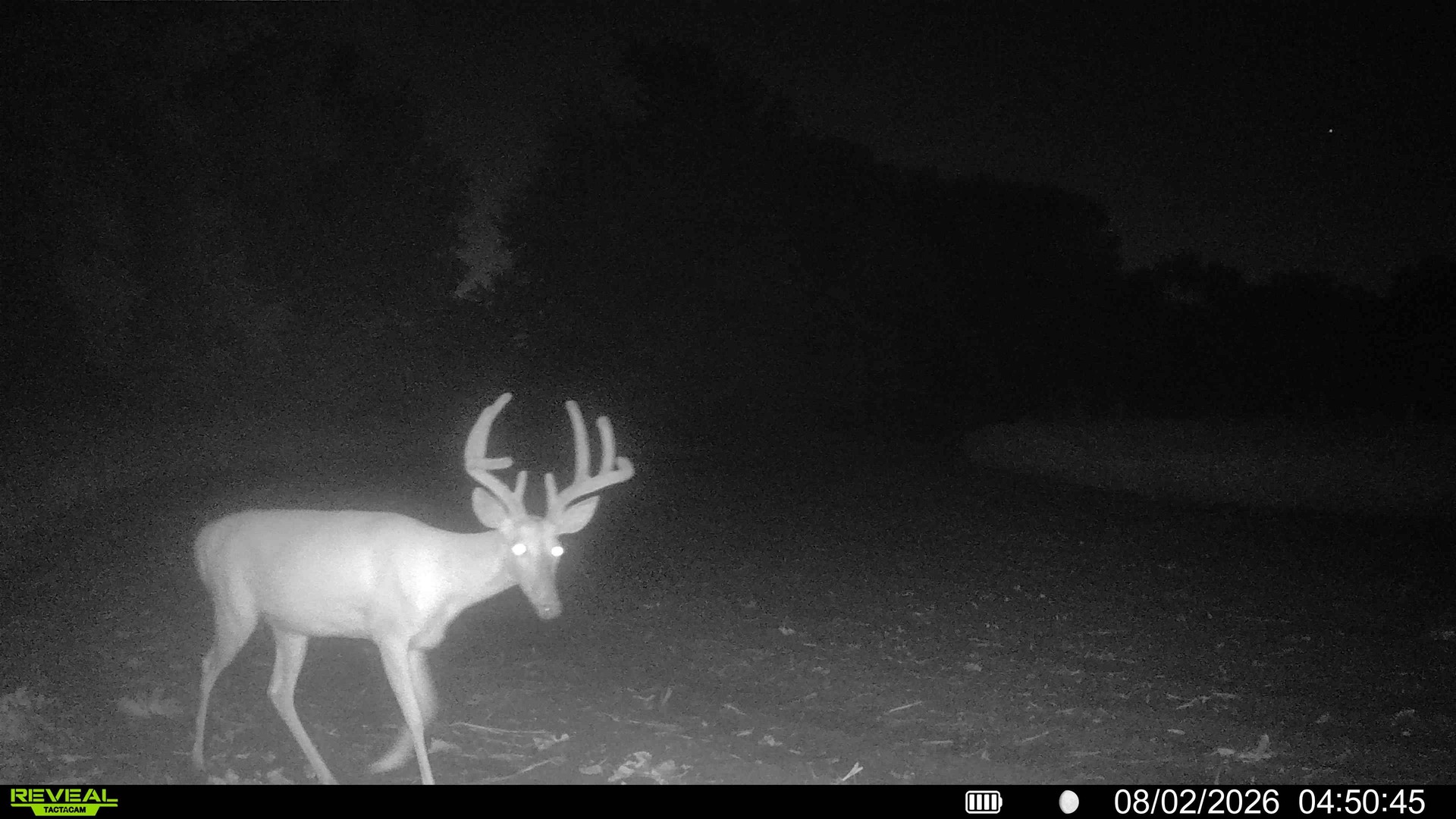 main property photo 57