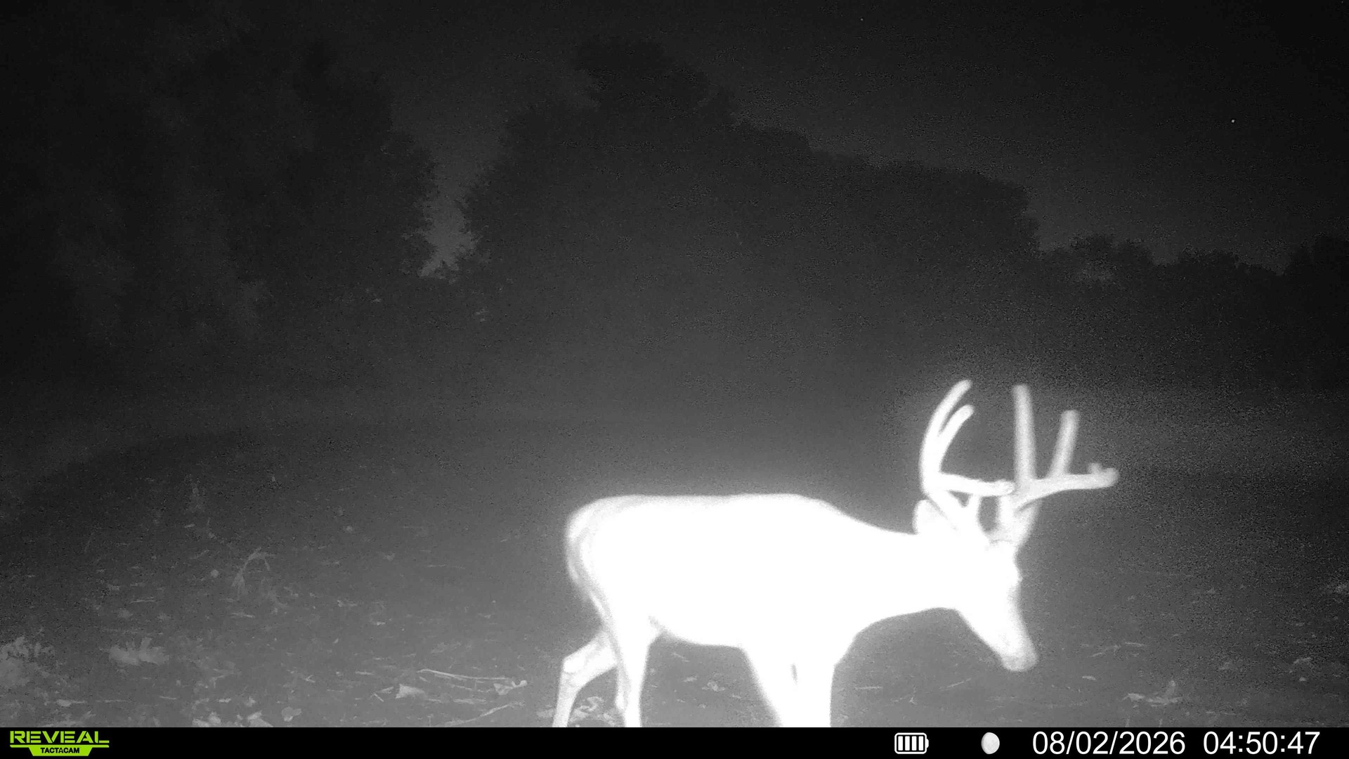 main property photo 58