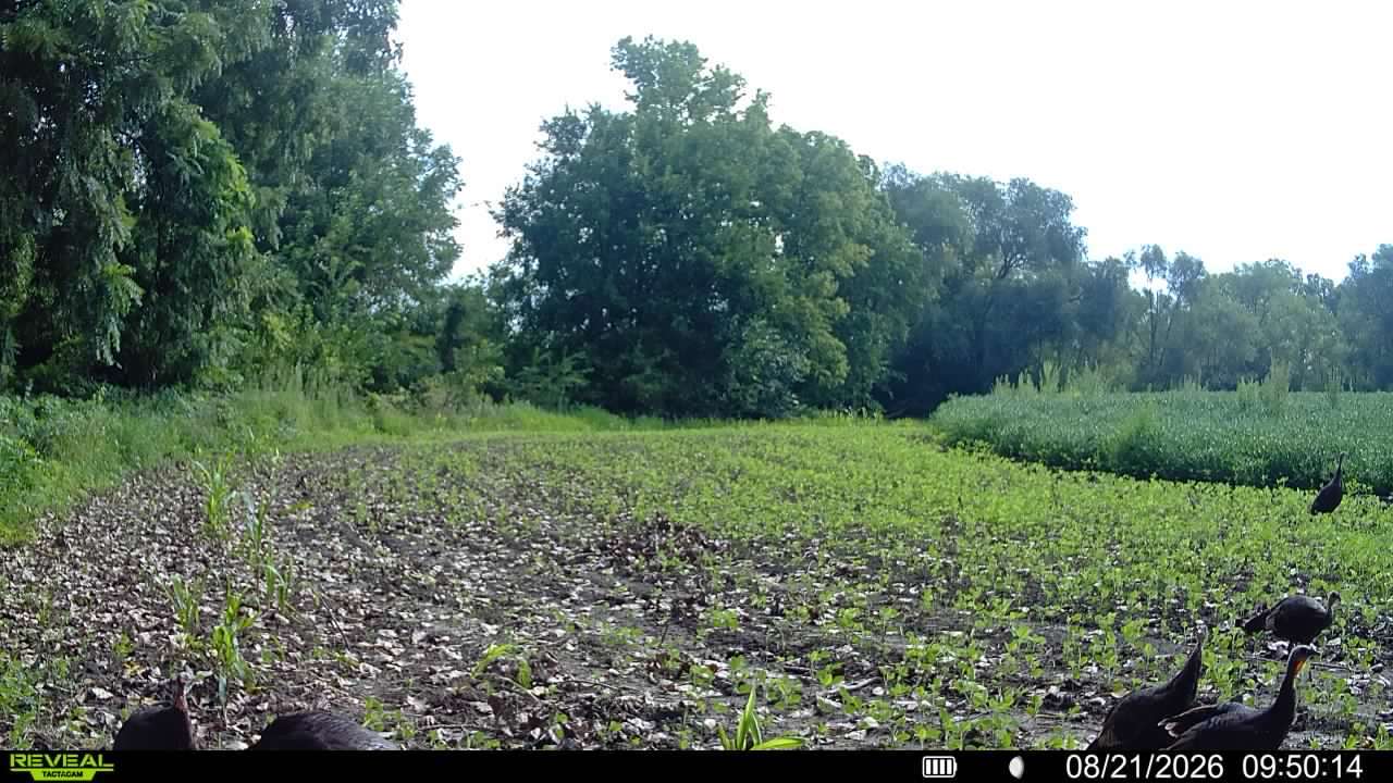 main property photo 59