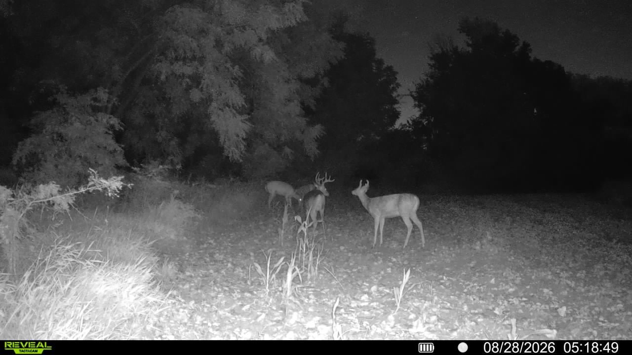 main property photo 62