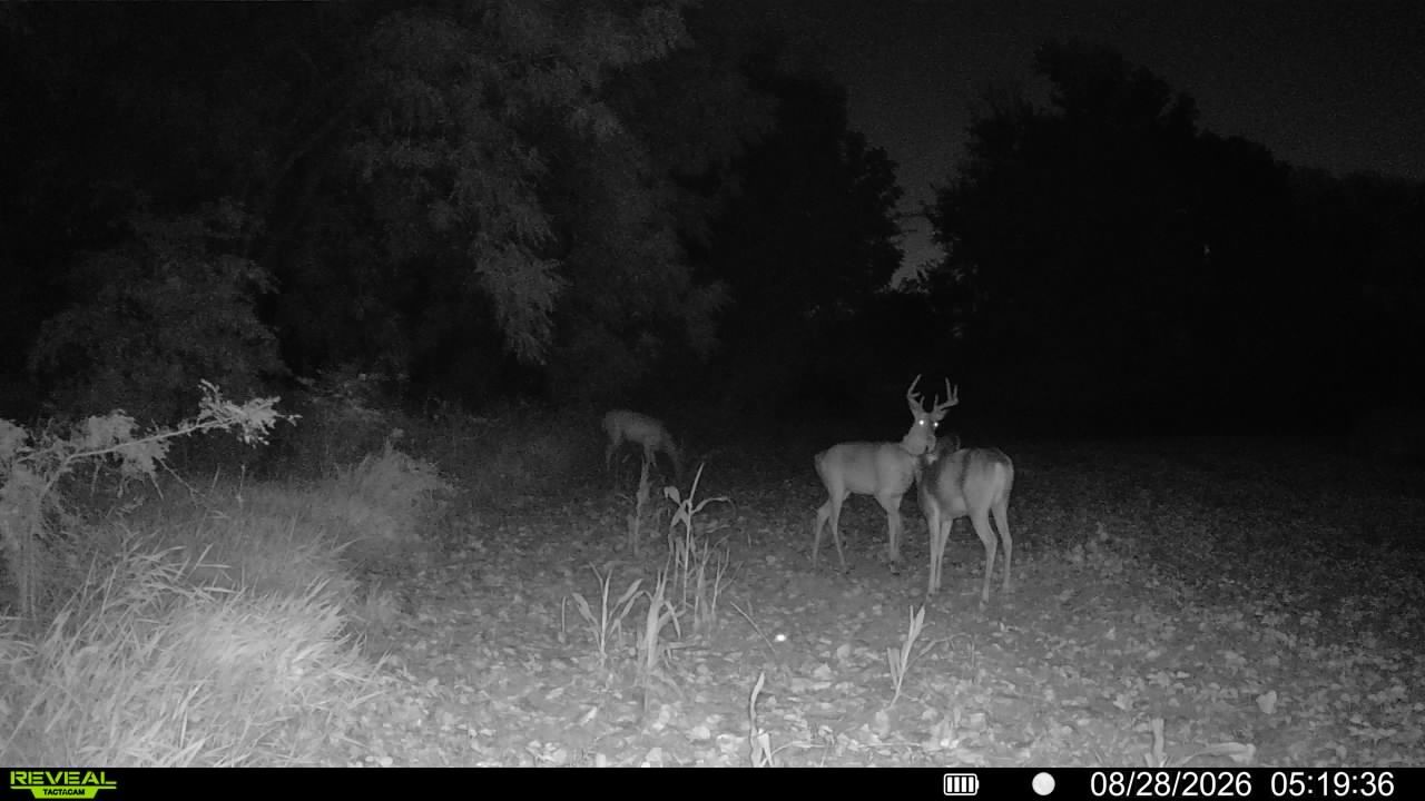 main property photo 64