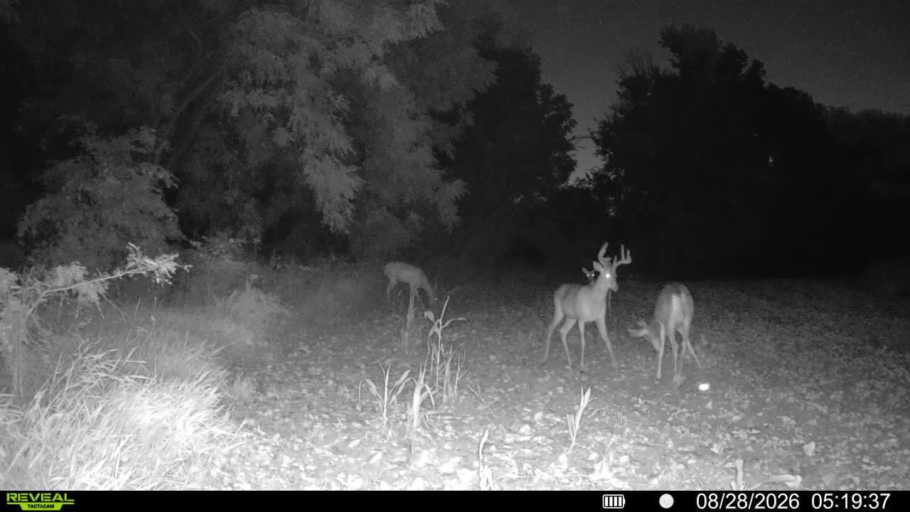 main property photo 65