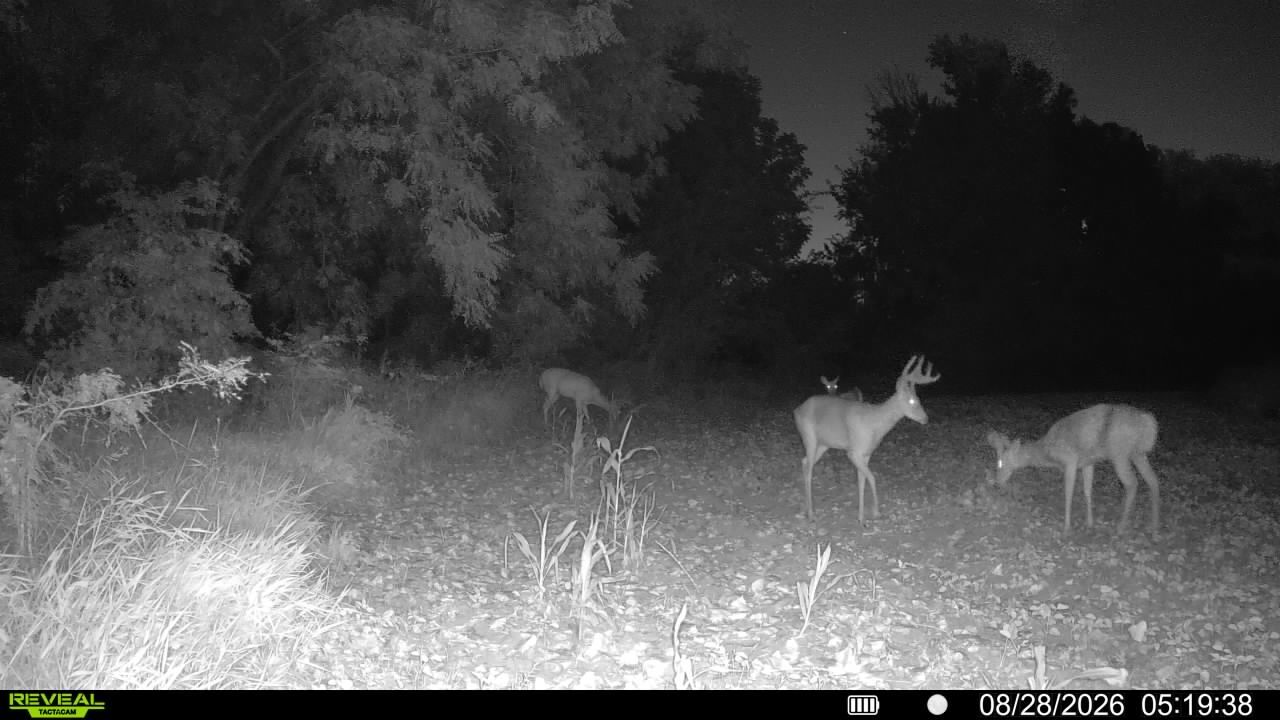 main property photo 66