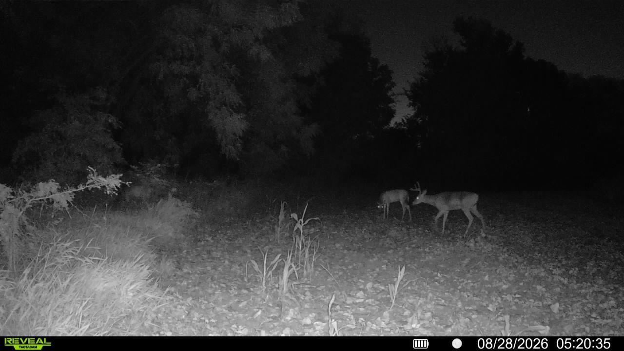 main property photo 67
