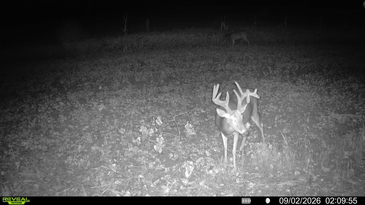 main property photo 87