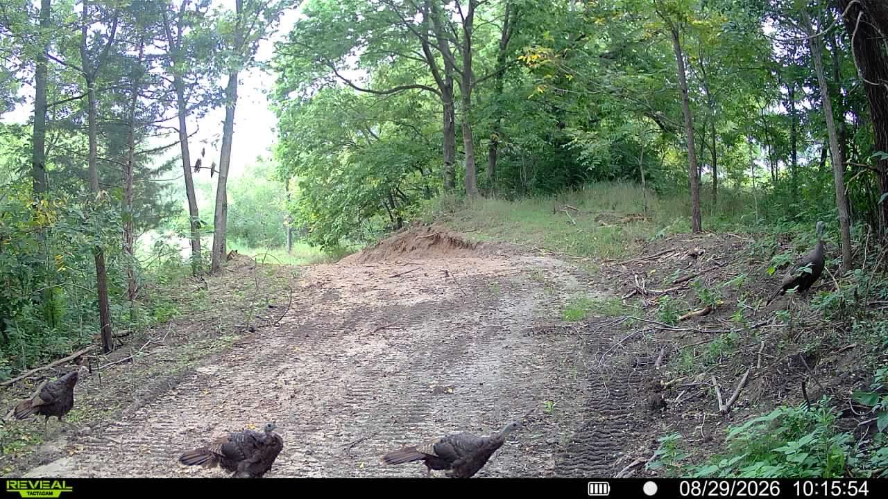 main property photo 94