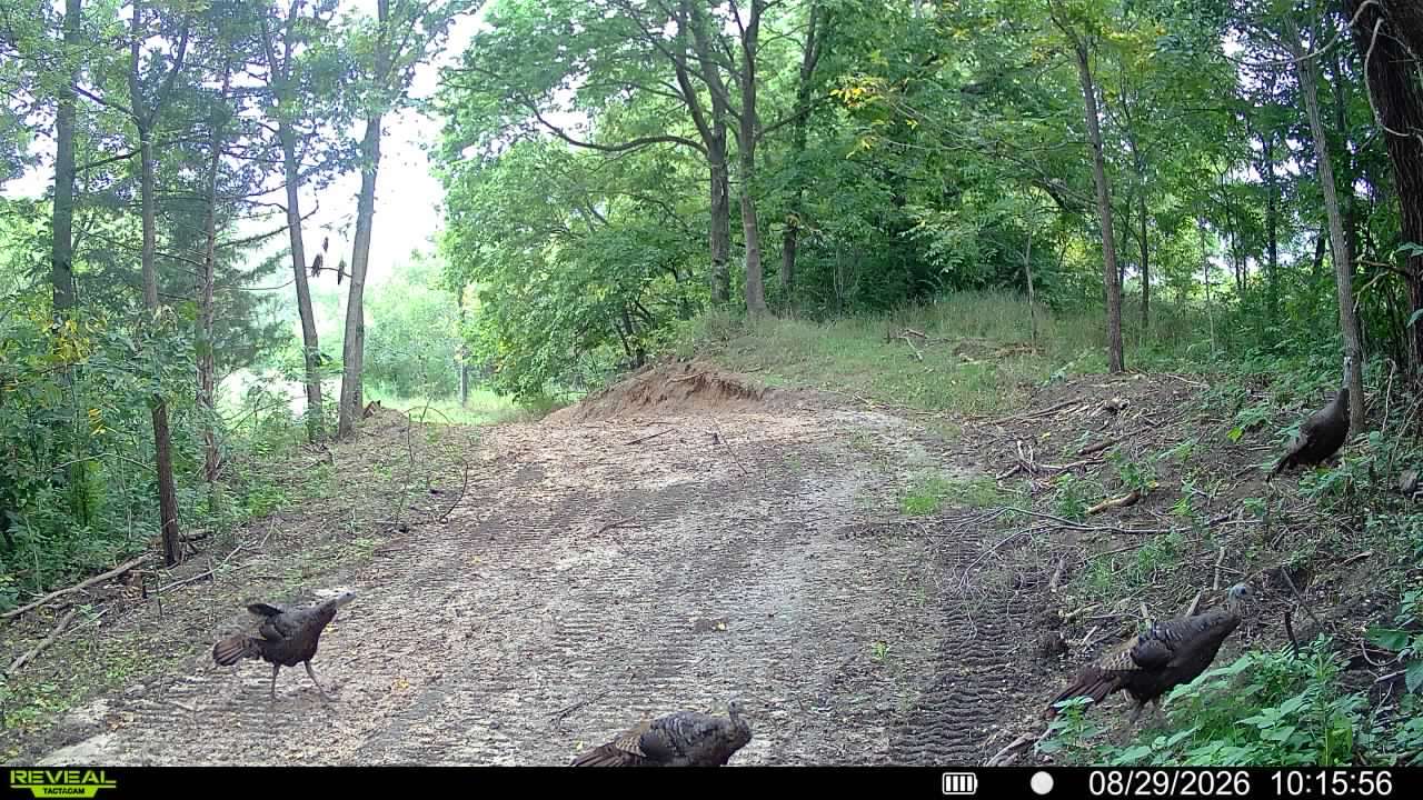 main property photo 95