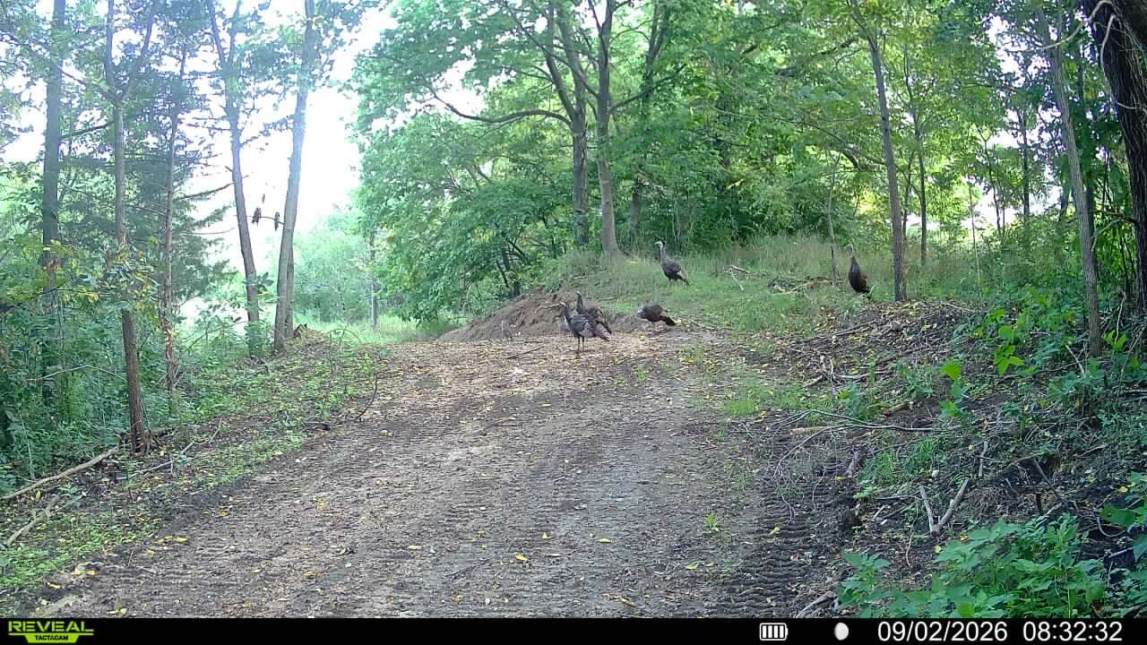 main property photo 96