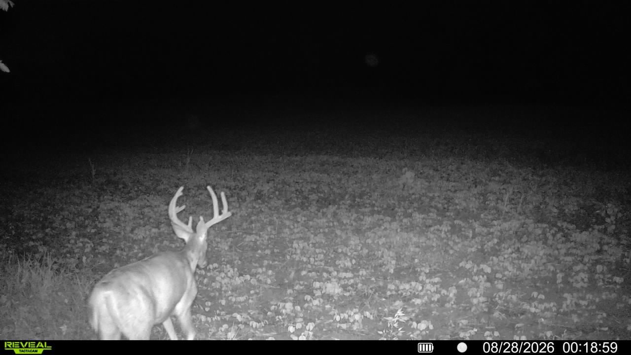 main property photo 99