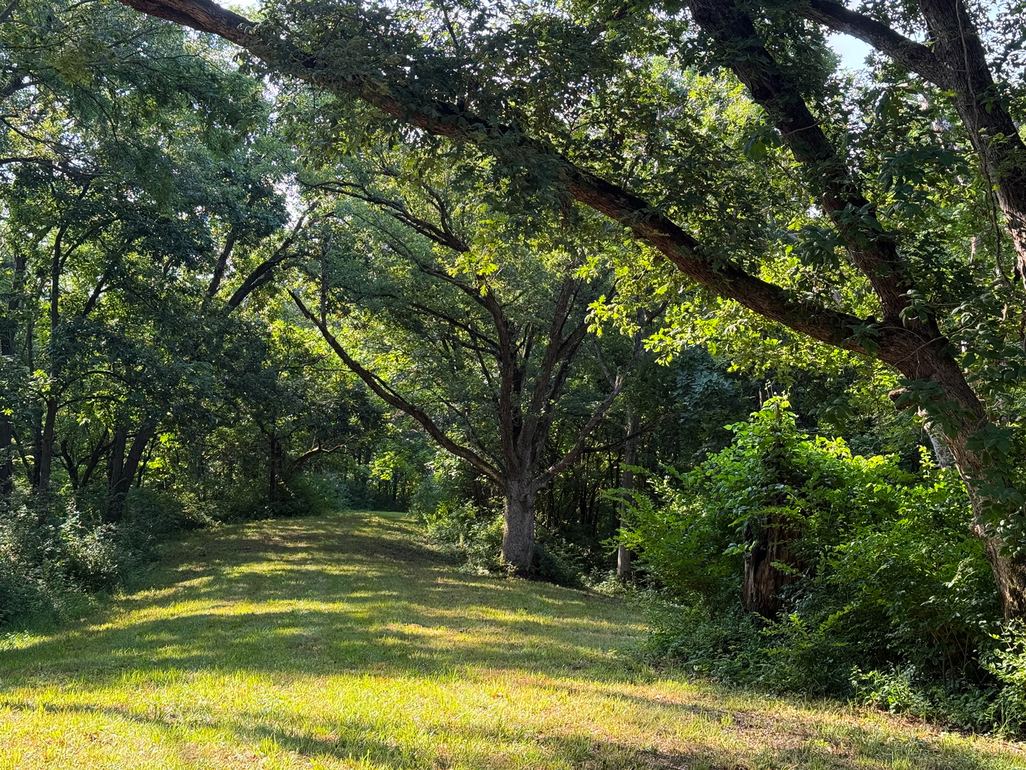 main property photo 16