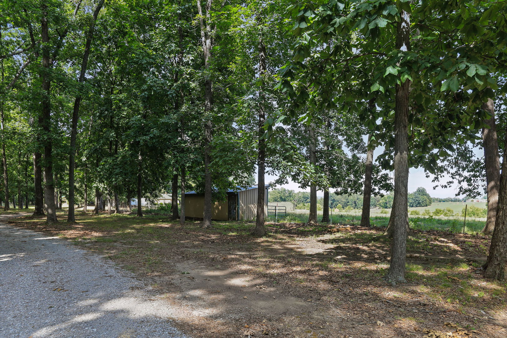 main property photo 26